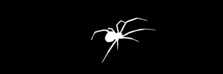 imbeckkzin's profile banner image