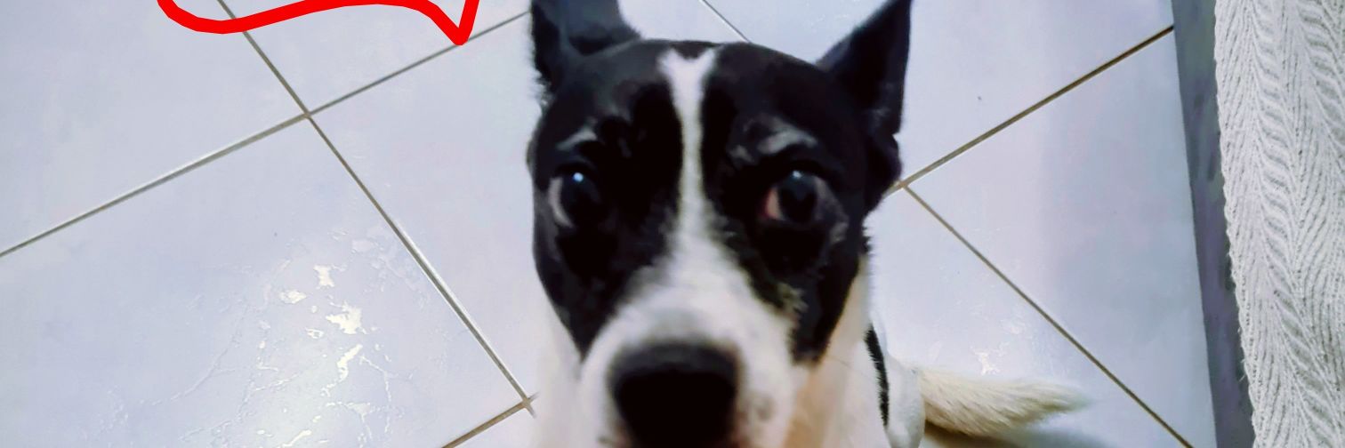BritoPavao's profile banner image