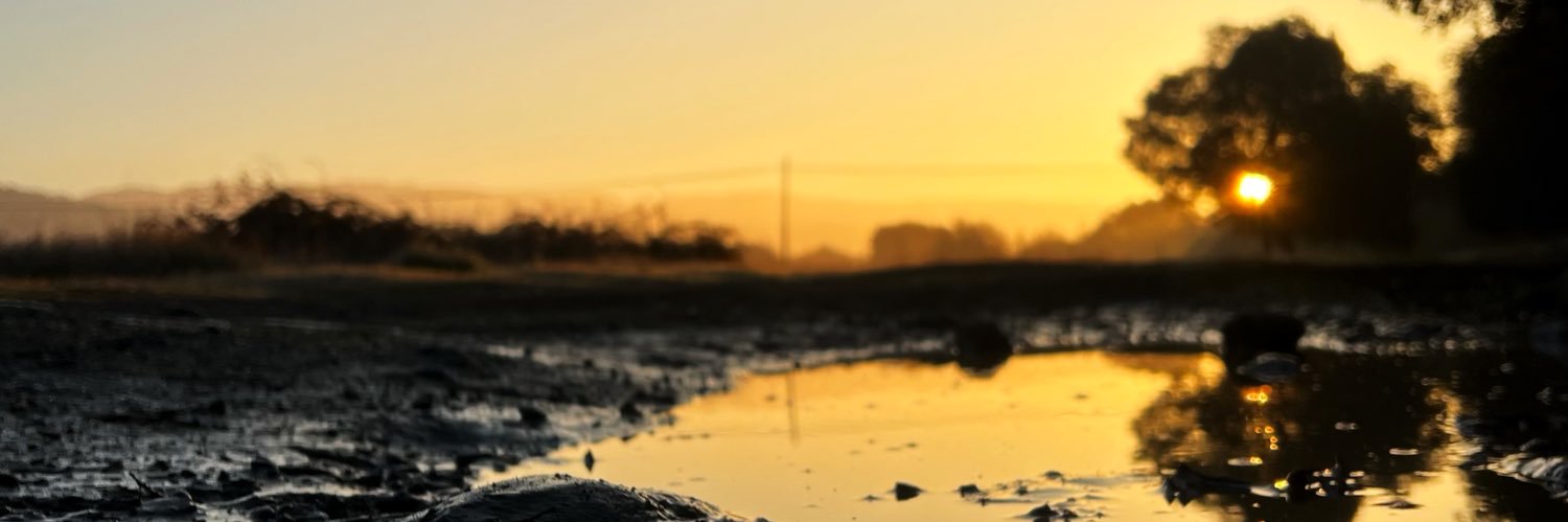Dom_Wilde's profile banner image