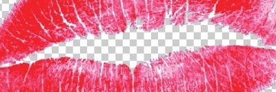 CD Buse Ela banner