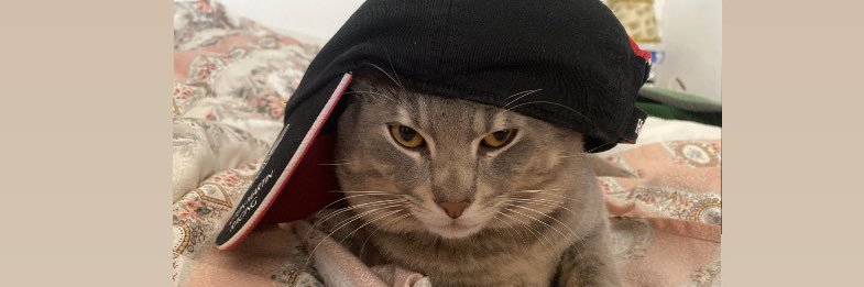 amulaa22's profile banner image