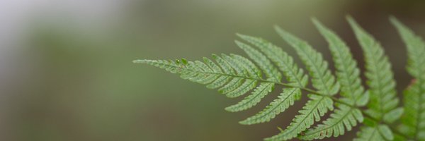 myon___ Profile Banner