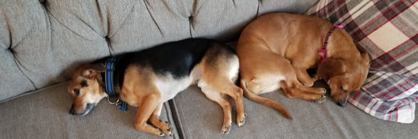 FrenchJessica Profile Banner