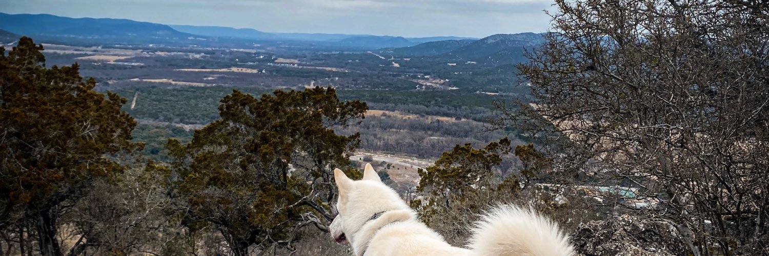Fluffsontheroad banner