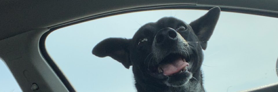emilyhackler21's profile banner image