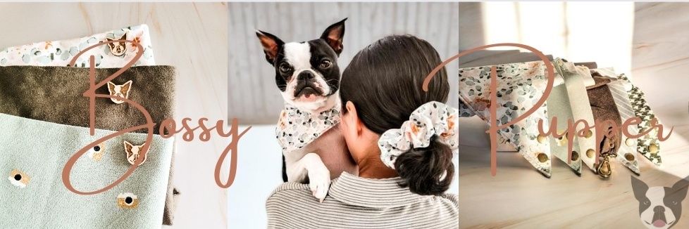 Bossy Pupper banner
