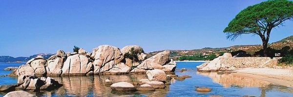 Siian_a banner