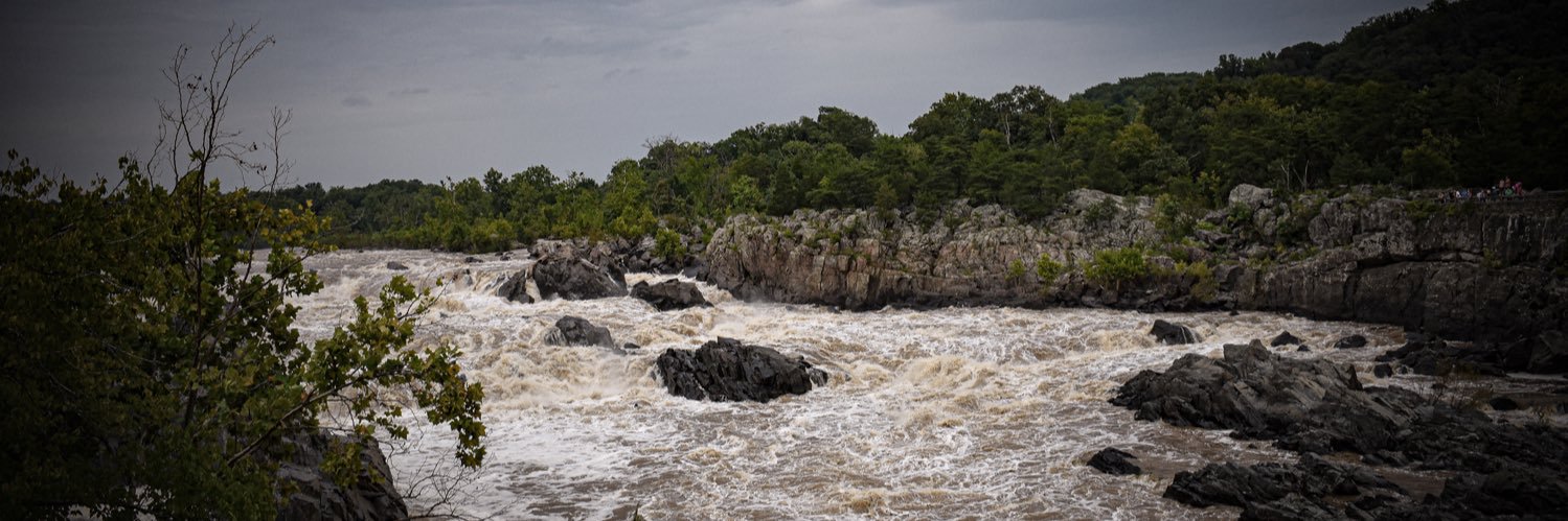 The Sibe + The Terv banner