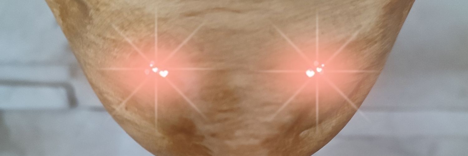 MichalMikele911's profile banner image