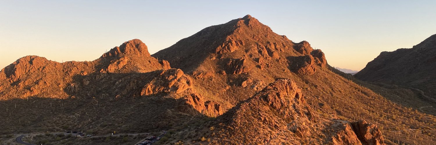 feathers mcgraw banner