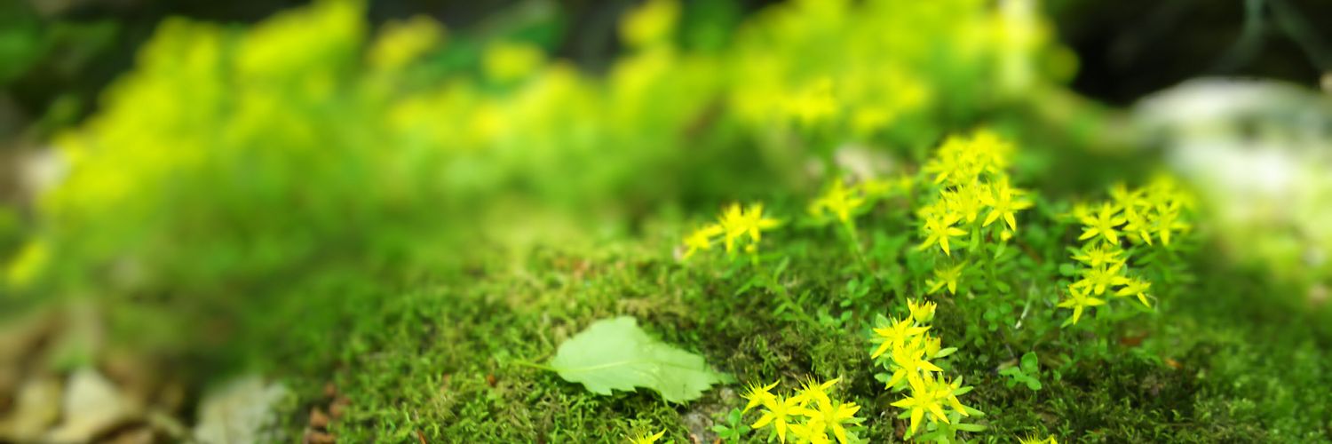 0530nature's profile banner image