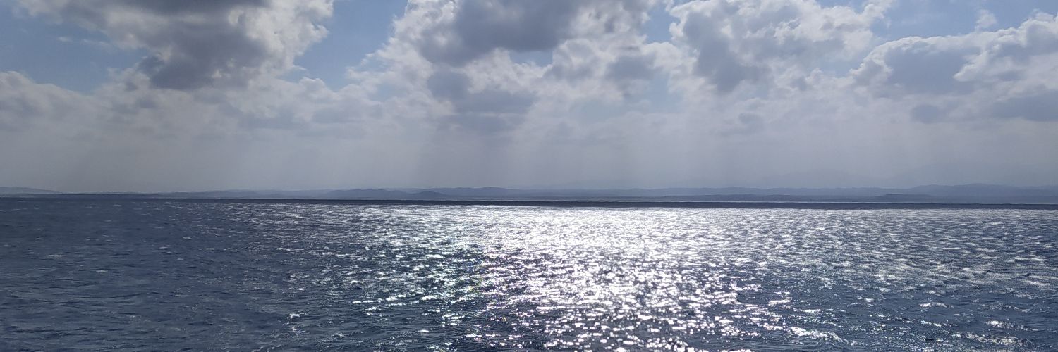 Anna Majchrzak banner