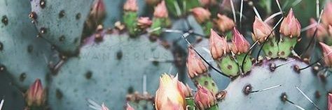 olainterior's profile banner image