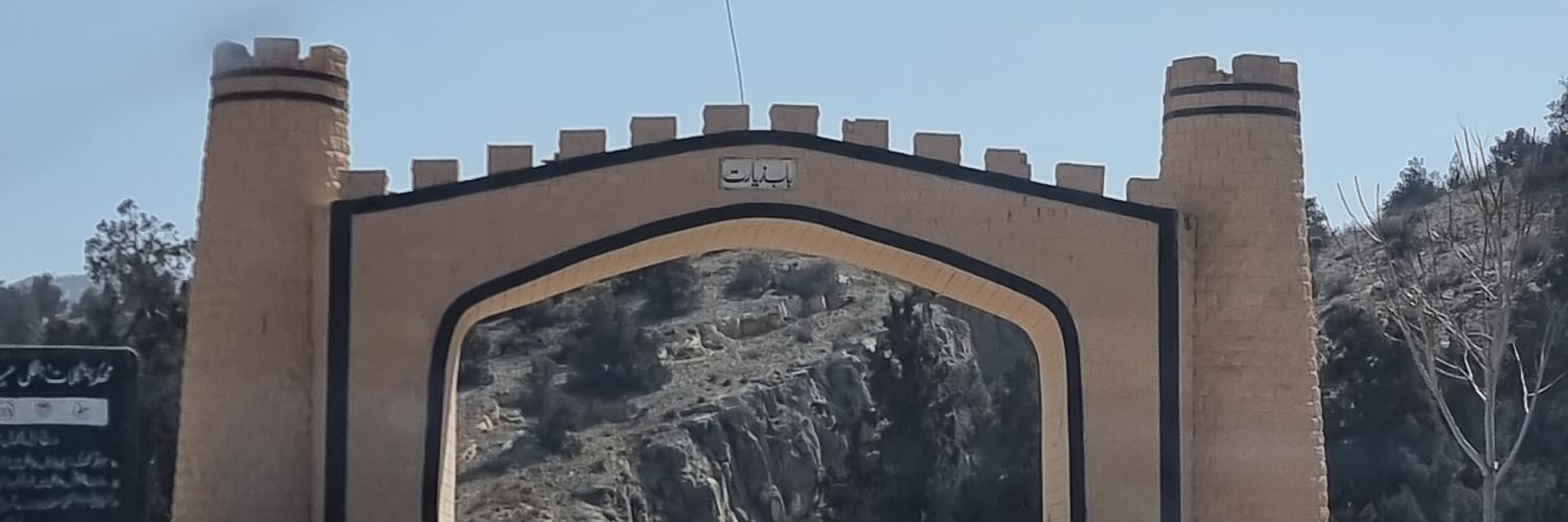 Muhammad Zain Mobeen banner