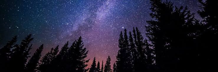 You're shit out of luck, kiddo. banner