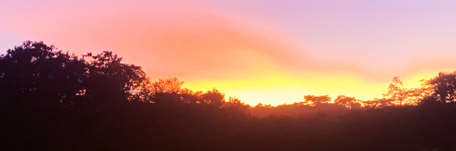 monche_saint's profile banner image
