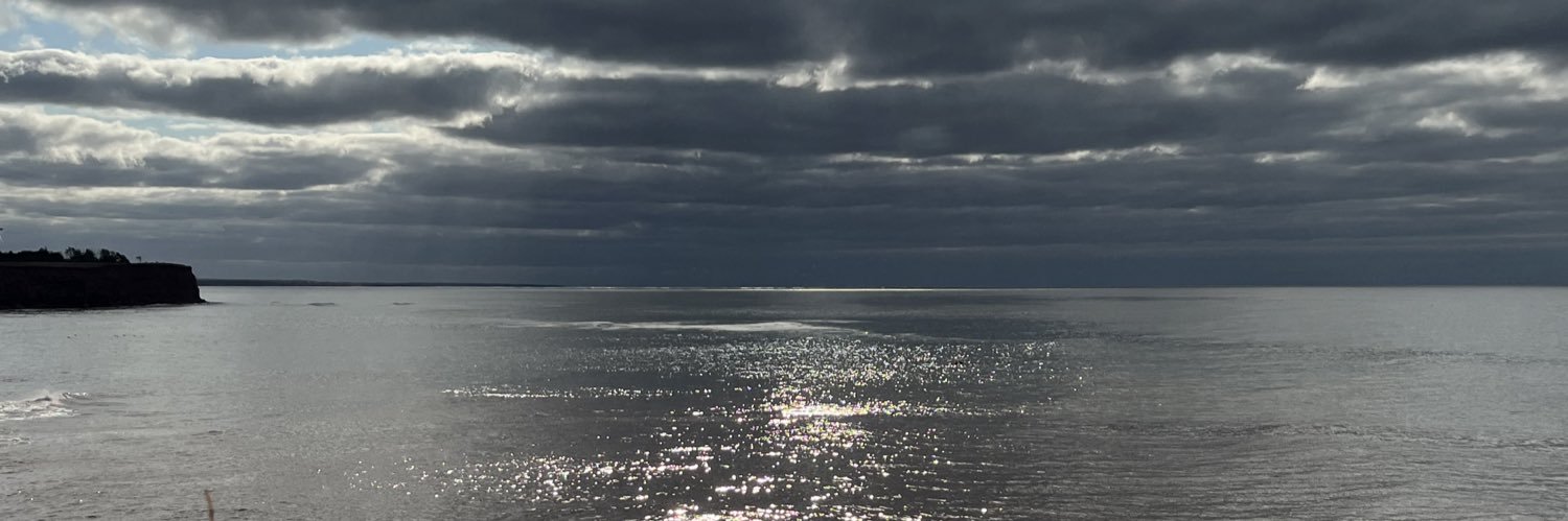 pameladetlor's profile banner image