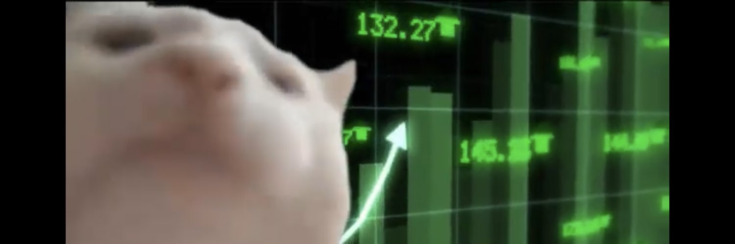 ReFiCAT's profile banner image