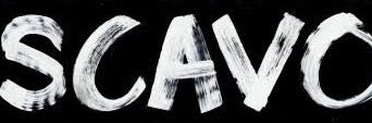 SoyScavo banner