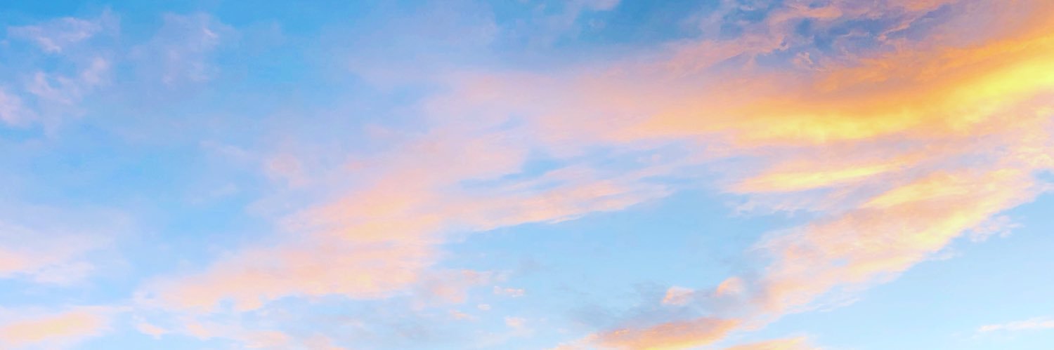 evilbatduck's profile banner image