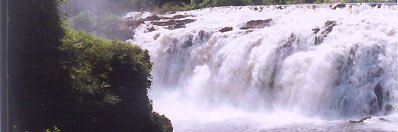 LuisBaezPsuv's profile banner image