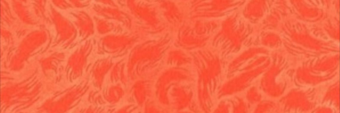 linwenyi16's profile banner image