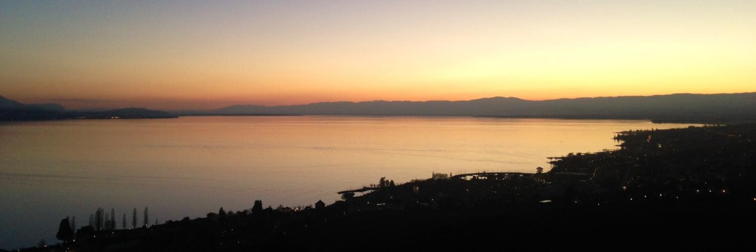 Daniel Hammer banner