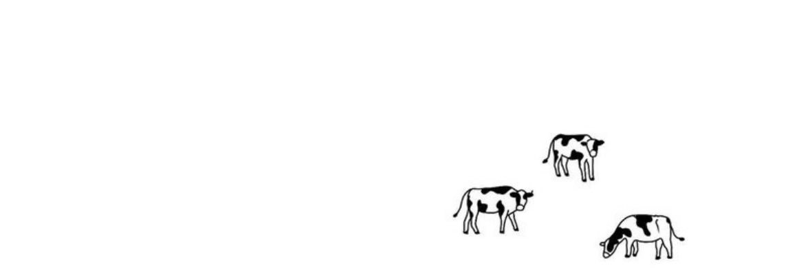 caye banner