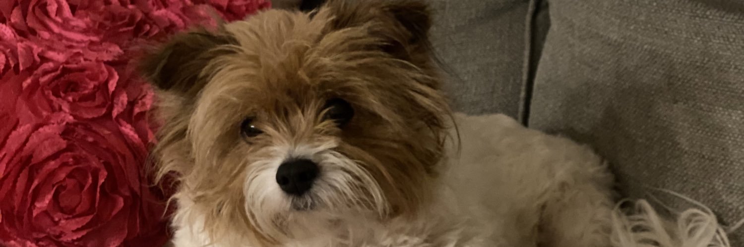themarissaskye's profile banner image