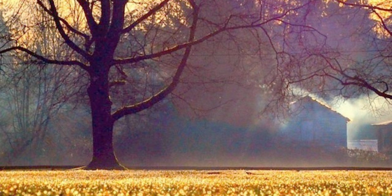MMarkstonBVH's profile banner image