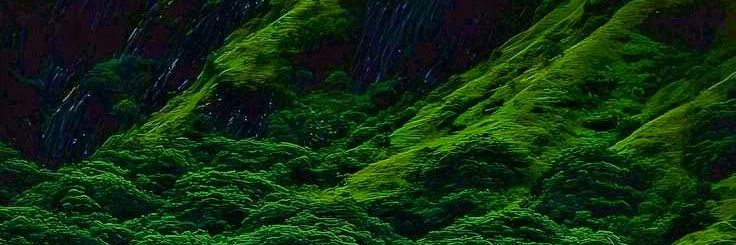 EdinNunezz's profile banner image