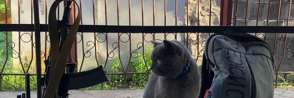 AdrianP_doc Profile Banner