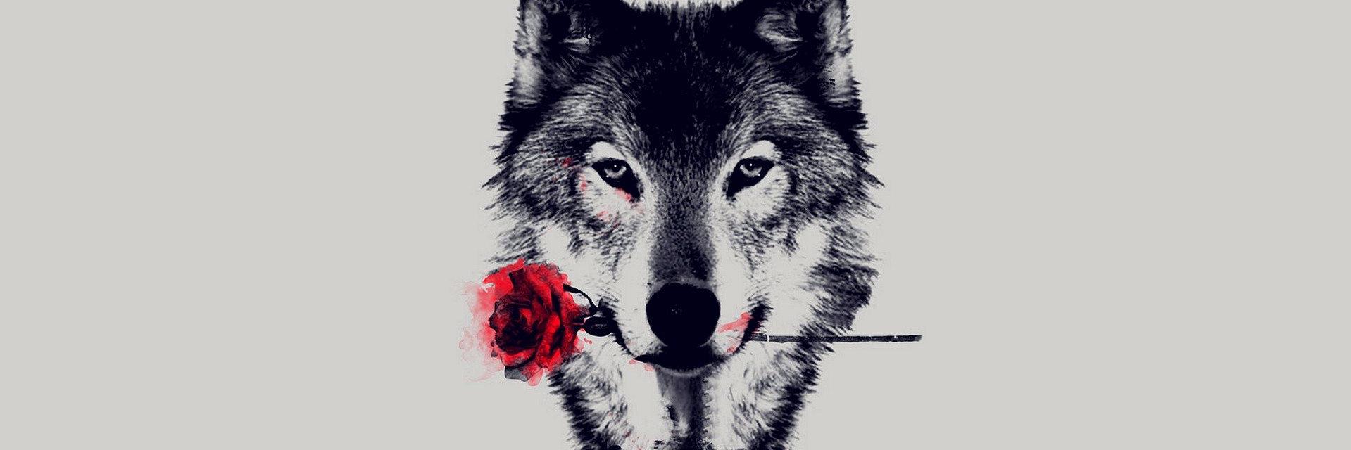 MarcoNegrete23's profile banner image