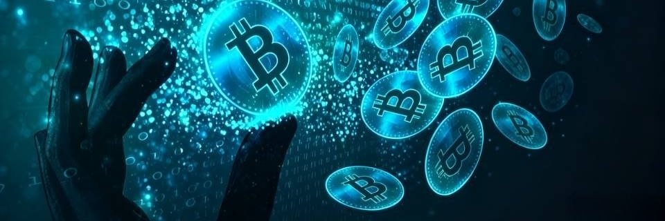 Flowerdogy98's profile banner image
