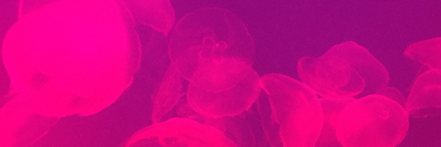 All_time_lo banner