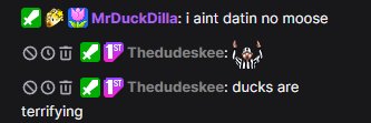 duck banner