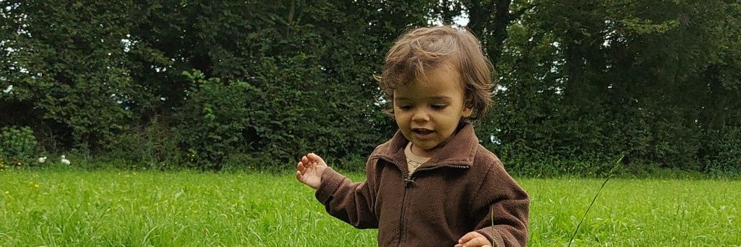 Everlong 🌻 banner