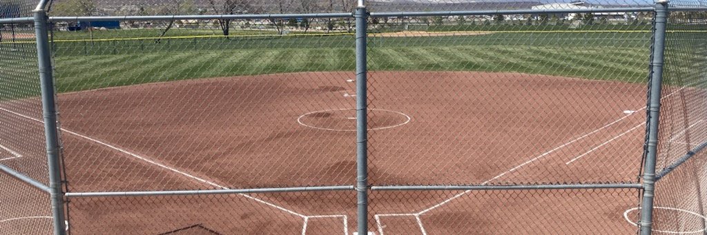 lowryhighsoftball banner