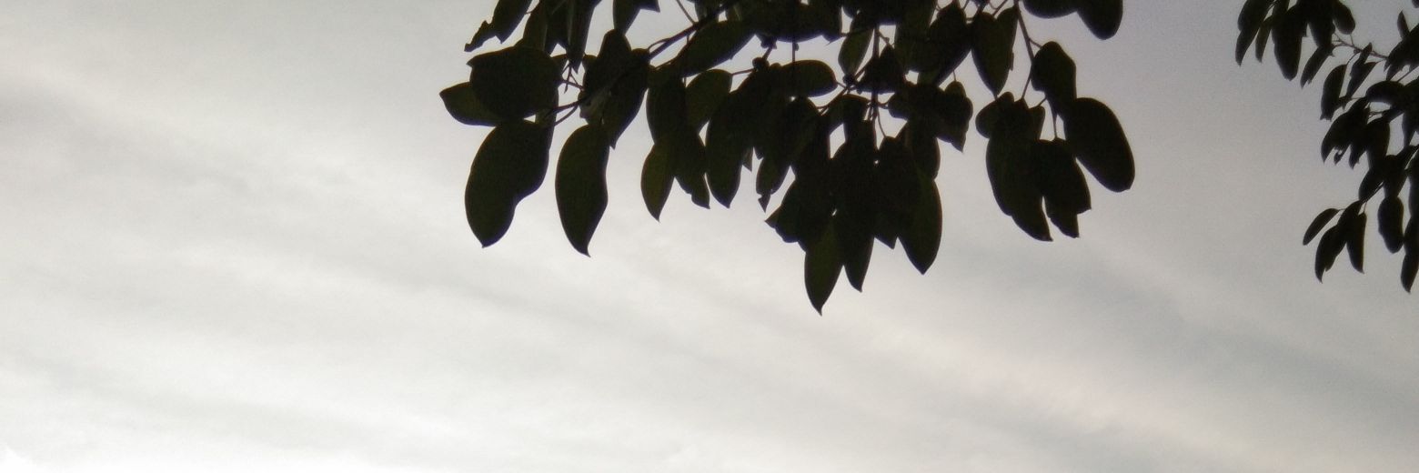 sregitac's profile banner image