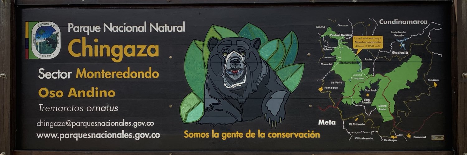 rodosalinas's profile banner image