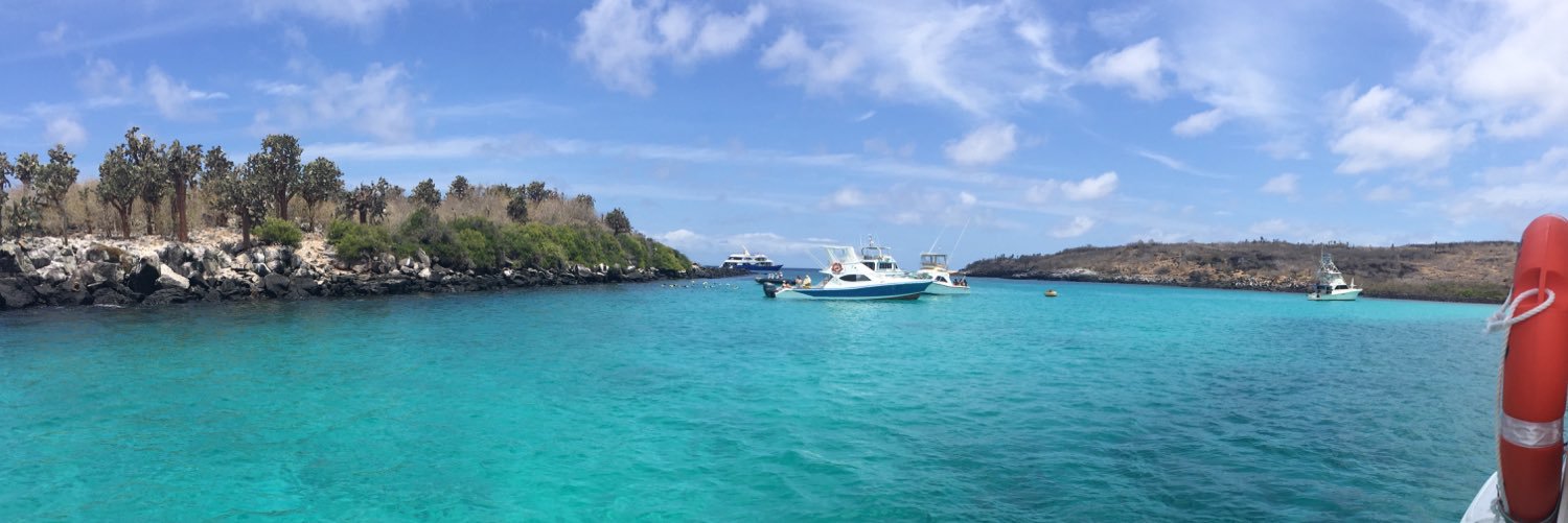 KathZC's profile banner image