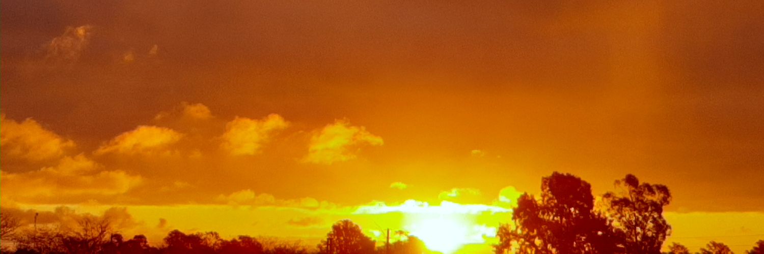Arex banner
