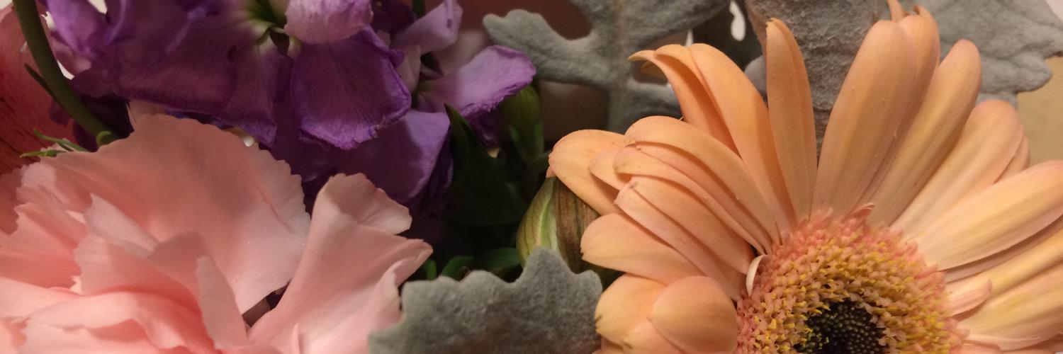 christineewc's profile banner image