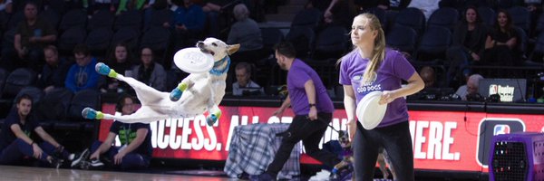 fairlyodddogs Profile Banner