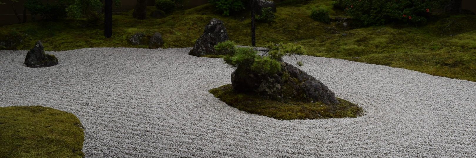 hattsankata's profile banner image