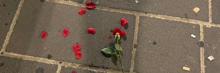 violetinthesun banner