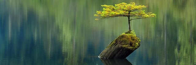 Thùy Dương banner