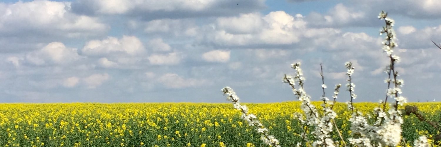 JoDavis247's profile banner image