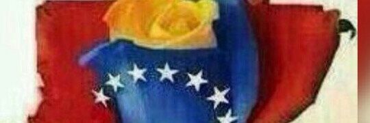 laprofenayive's profile banner image