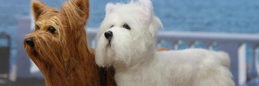 ThePupDiary's profile banner image